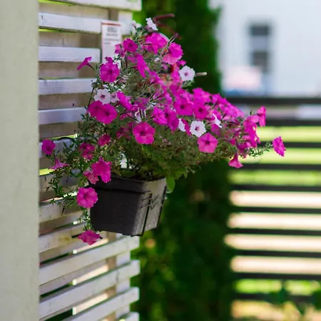 Bursztyn W Sarbinowie Blisko Morza Sarbinowo