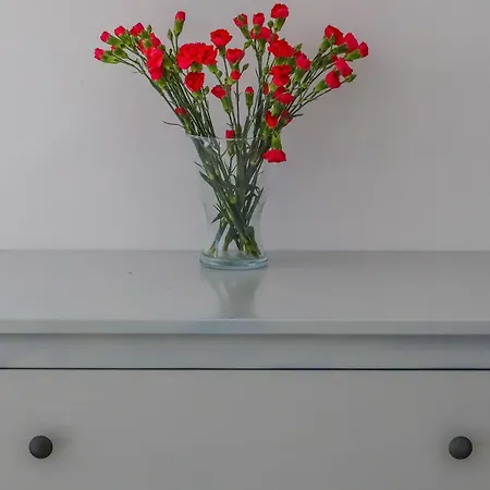 Bursztyn W Sarbinowie Blisko Morza * 사르비노보