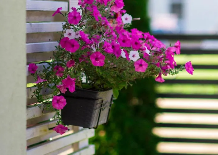 Bursztyn W Sarbinowie Blisko Morza Sarbinowo