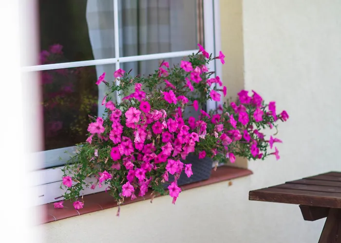 Lodge Bursztyn W Sarbinowie Blisko Morza *