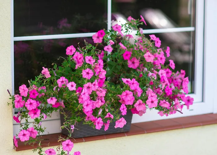 Bursztyn W Sarbinowie Blisko Morza *