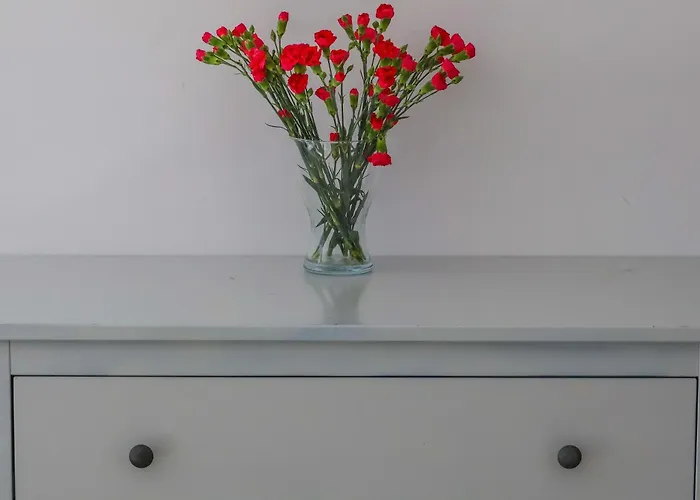 Bursztyn W Sarbinowie Blisko Morza * Sarbinowo